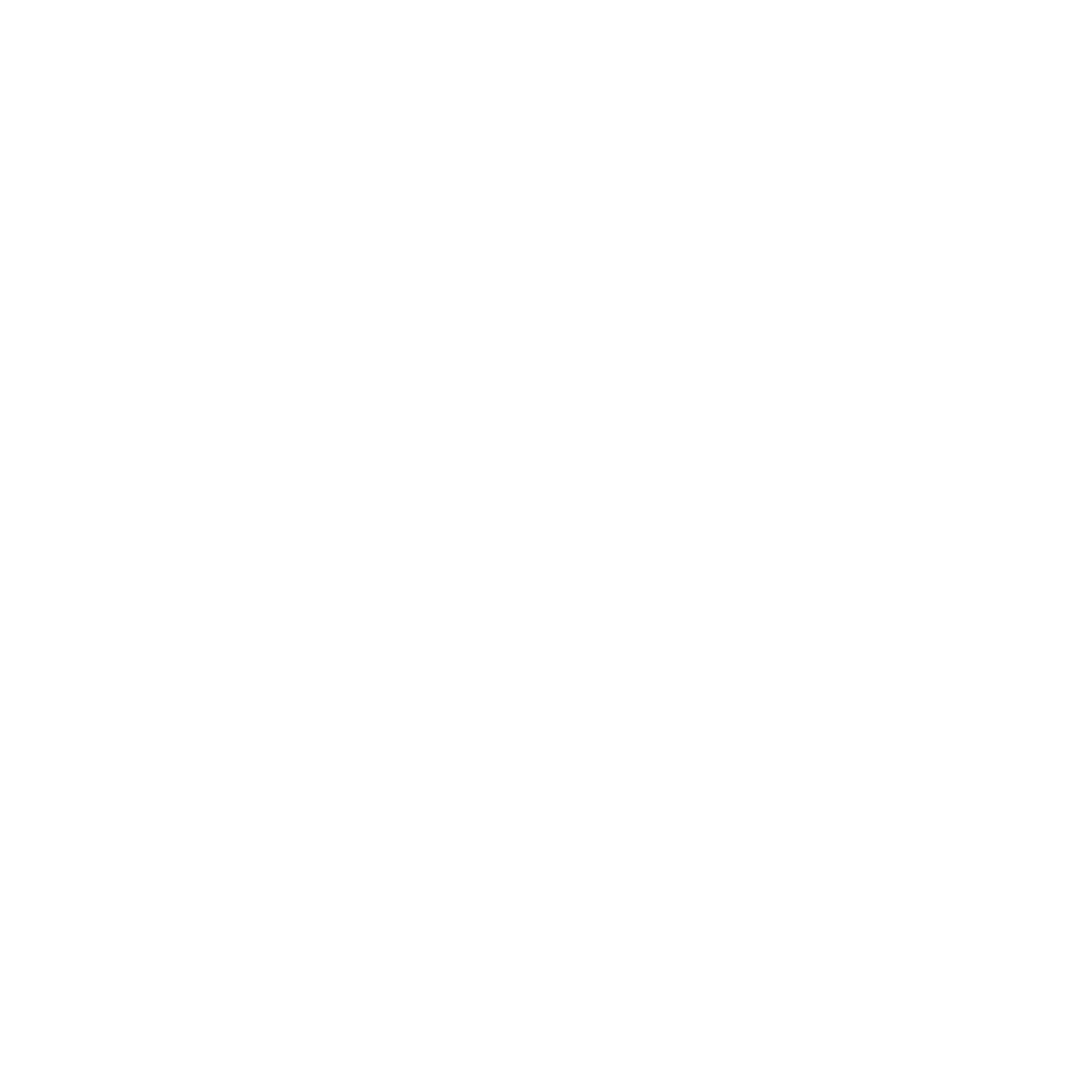 Altes Logo weiß(1)